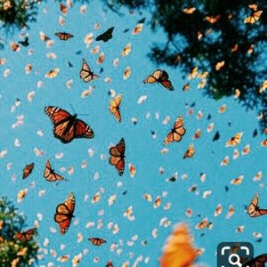 Meet your Posher, Nadia